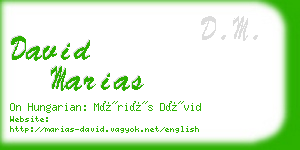 david marias business card